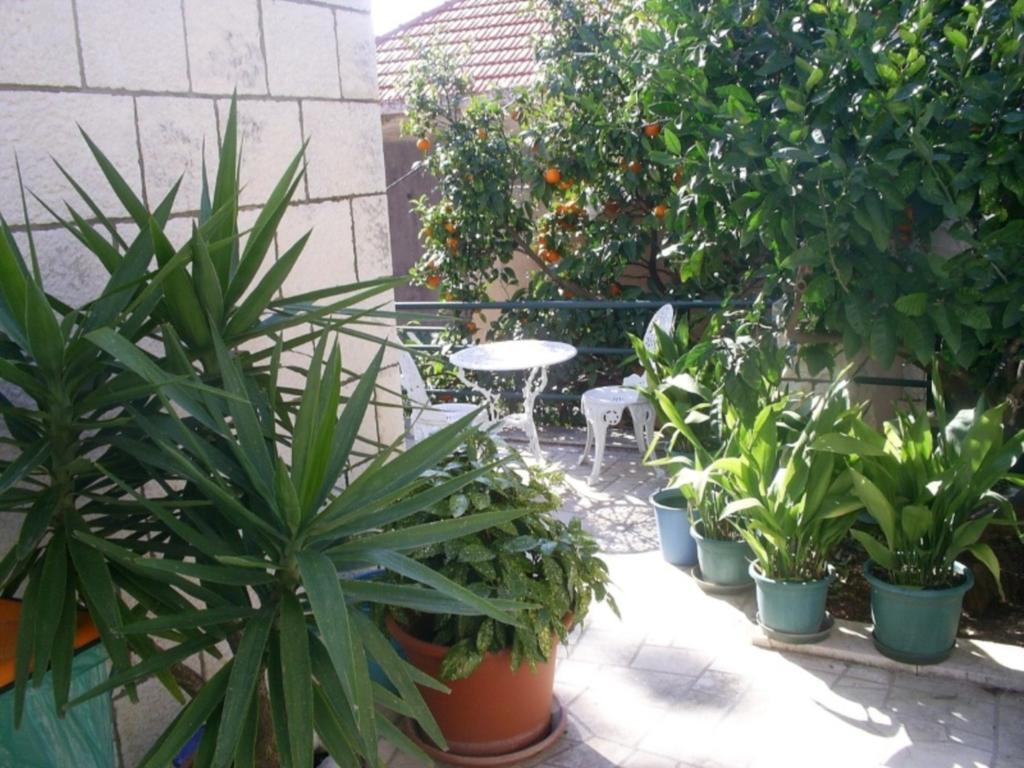 Dubrovnik Sea View Apartment Экстерьер фото